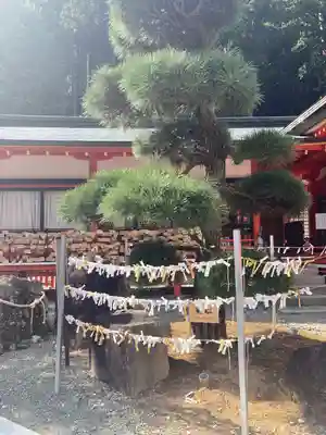 金櫻神社(山梨県)
