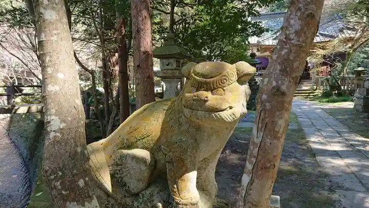 五所駒瀧神社の狛犬