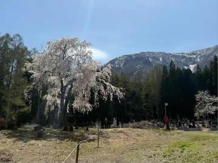 貞麟寺(長野県)