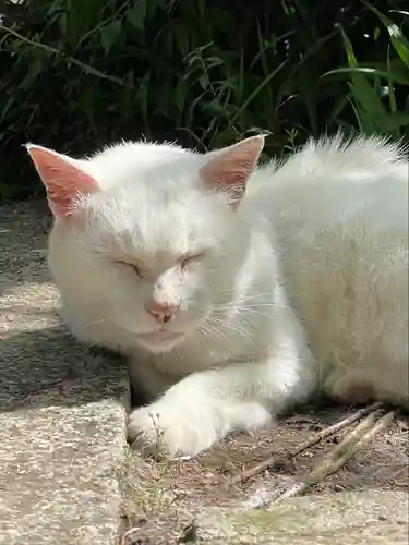 愛宕神社(東京都)