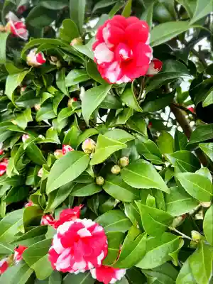 稲荷神社(宮城県)