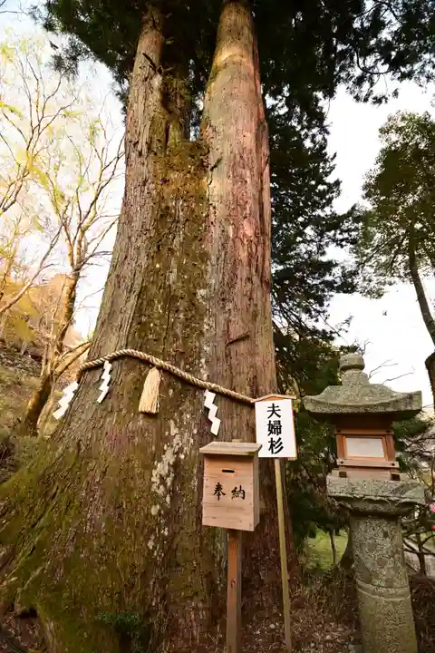 談山神社(奈良県)