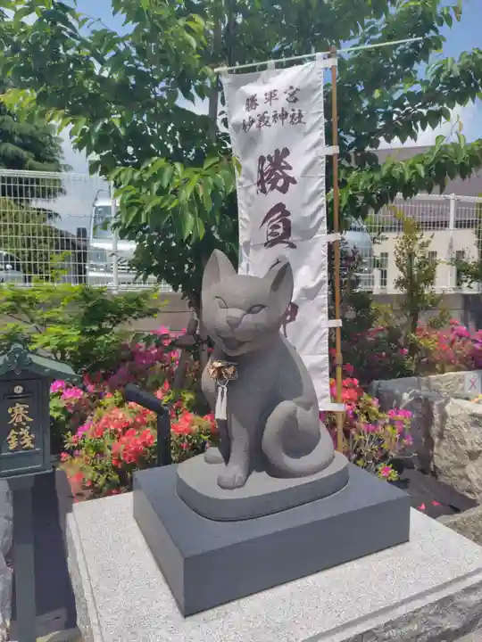 駒込妙義神社(東京都)