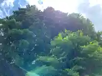 駒嶽神社の自然