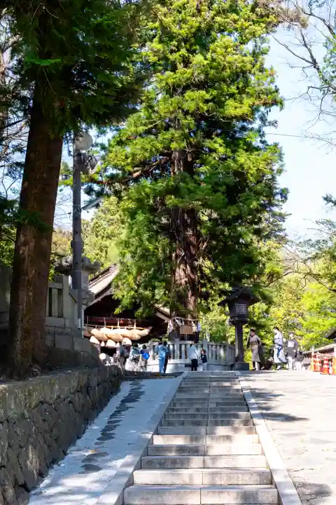 諏訪大社下社秋宮(長野県)