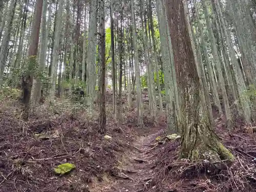 浄蓮庵(徳島県)