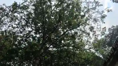 崇道神社(京都府)