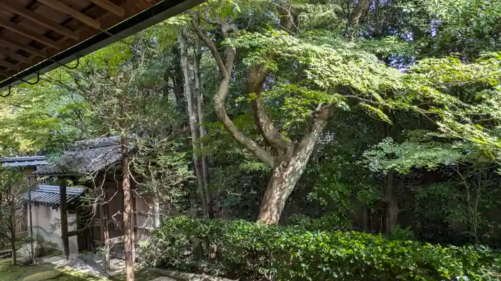 真珠庵(真珠菴)の庭園