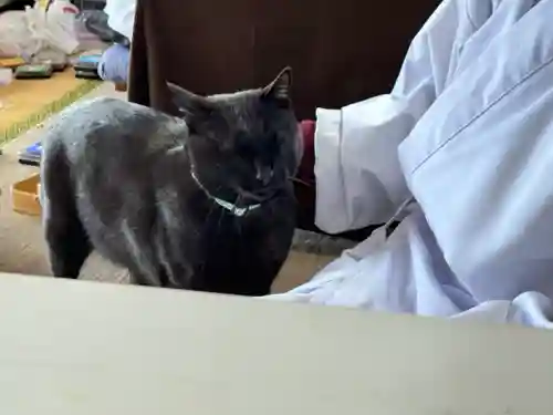 高司神社〜むすびの神の鎮まる社〜(福島県)