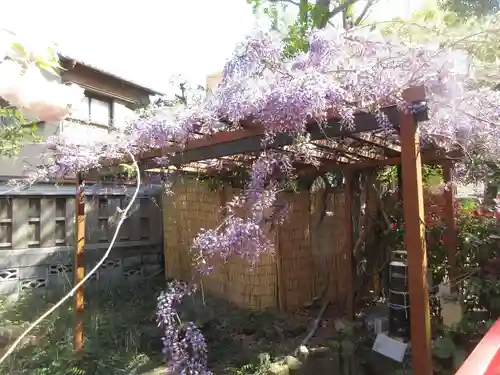 富岡八幡宮(東京都)