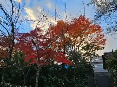 元興寺(奈良県)