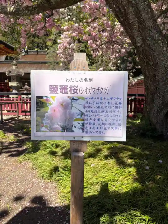 志波彦神社・鹽竈神社(宮城県)