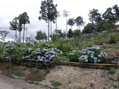 富士浅間神社の自然