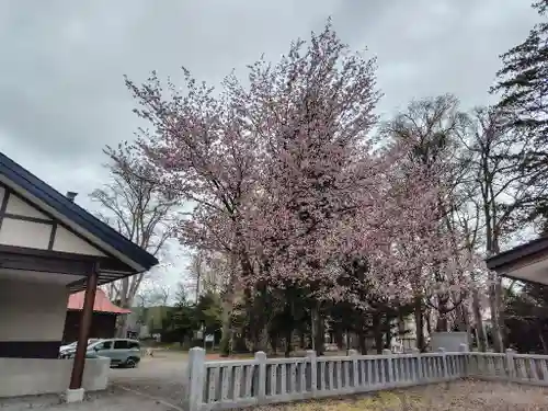 永山神社の自然