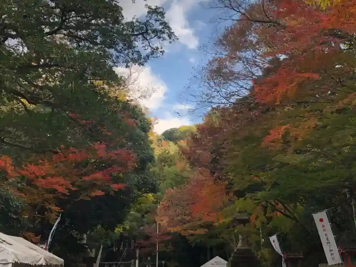 枚岡神社の自然