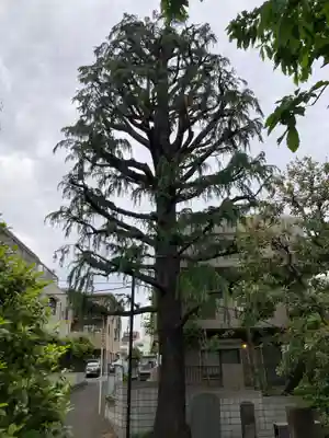 仙寿院(東京都)