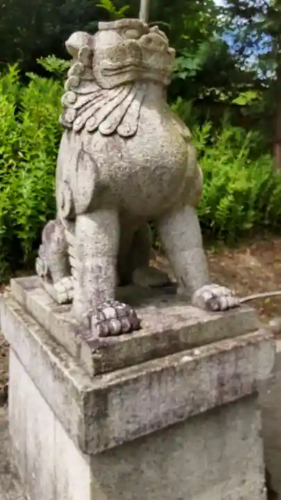 宮城縣護國神社の狛犬