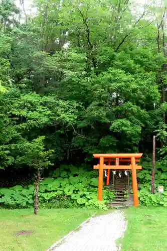 阿寒湖稲荷神社の鳥居