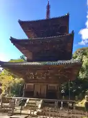 一乗寺の建物その他