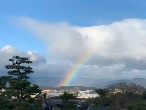 京都祇園堂（廃寺？）の自然