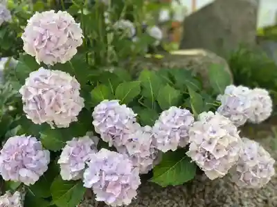 美奈宜神社(福岡県)