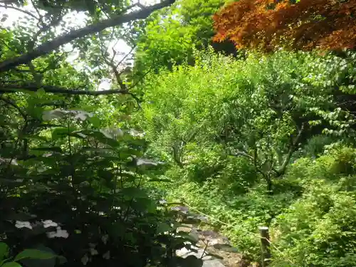 瑞泉寺の庭園