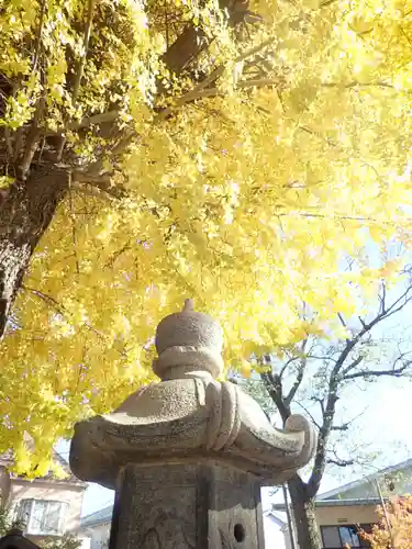 根岸八幡神社(神奈川県)