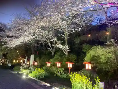 大船観音寺(神奈川県)