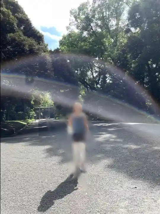 明治神宮(東京都)