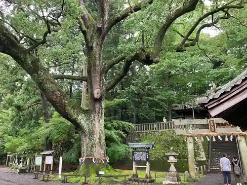 事任八幡宮(静岡県)