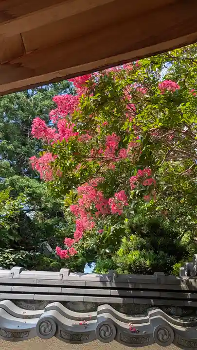 大應寺(大応寺)(京都府)