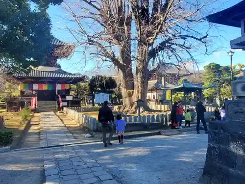 鑁阿寺の建物その他