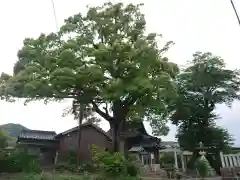 関川社の自然