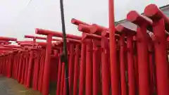 小泉稲荷神社の鳥居