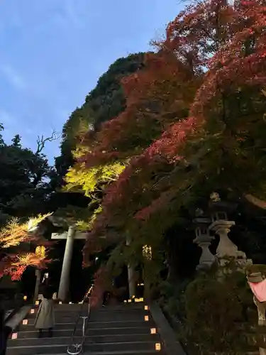 等彌神社(奈良県)