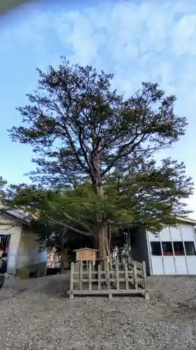 湯倉神社の自然