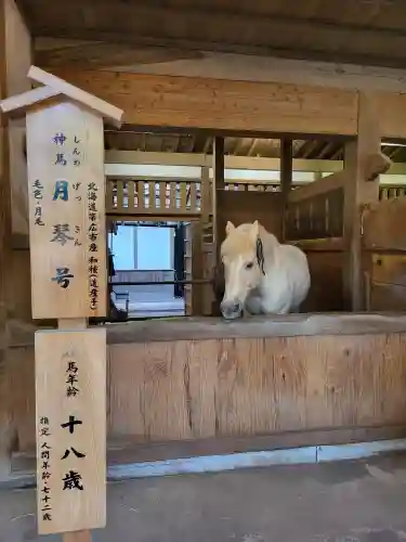 金刀比羅宮(香川県)