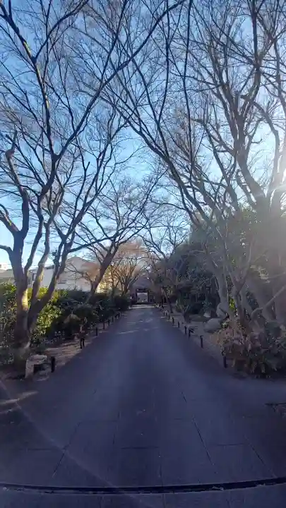 高円寺(東京都)