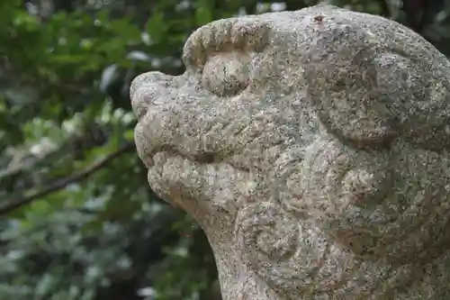 宇部護国神社の狛犬