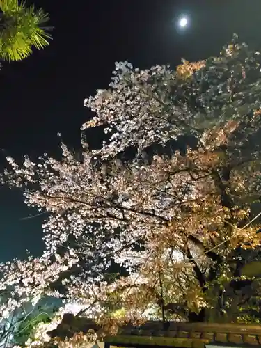 如宝寺(福島県)