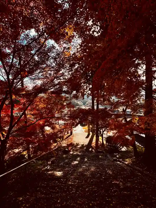 安国寺(京都府)