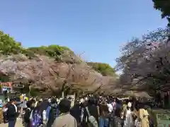 五條天神社の自然