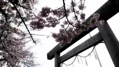 神明社(国府宮神明社)の鳥居