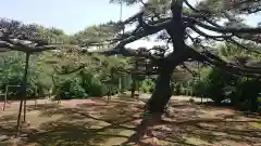 飯玉神社の庭園