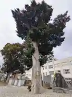 伏石神社(香川県)