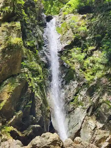 岩滝寺の自然