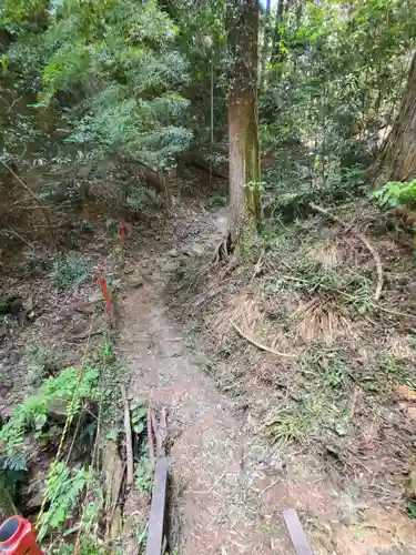 名草厳島神社の自然
