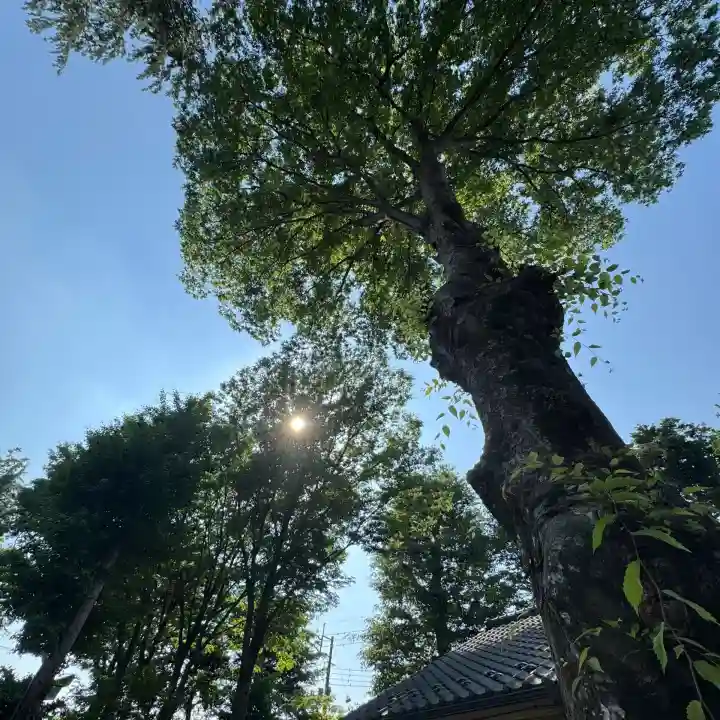 小野神社の{uncategorized: "未分類", other: "その他", undefined: "問題あり", building: "その他建物", grave: "お墓", sacred_gate: "鳥居", guardian: "狛犬", statue: "像", buddha: "仏像", history: "歴史", nature: "自然", garden: "庭園", animal: "動物", pagoda: "塔", temizu: "手水舎", mountain_gate: "山門・神門", sanctuary: "本殿・本堂", subordinate: "末社・摂社", art: "芸術", scenery: "景色", jizo: "地蔵", ema: "絵馬", goshuin: "御朱印", omikuji: "おみくじ", items: "授与品その他", amulet: "お守り", goshuincho: "御朱印帳", eats: "食事", festival: "お祭り", votive_dance: "神楽", shichigosan: "七五三参", wedding: "結婚式", experience: "体験その他", initially: "初詣", around: "周辺", anti_infection: "感染症対策"}