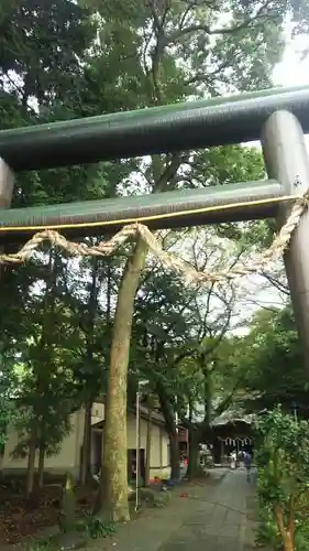 三嶋神社の鳥居