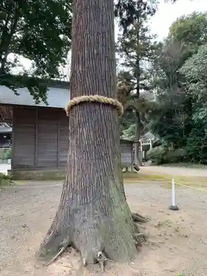 鷲宮神社のその他建物